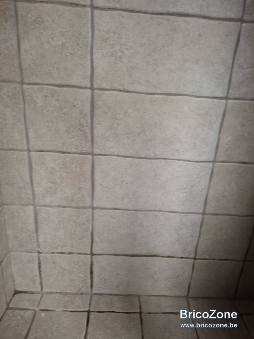1000016434.jpg