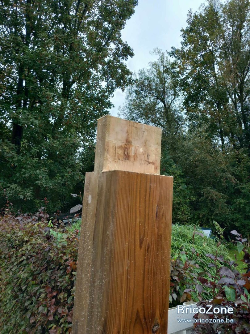 p2.0.jpg
