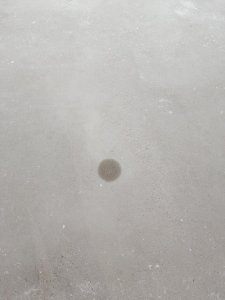 IMG20241119073244.jpg