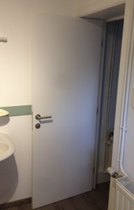 IMG_5751.jpeg