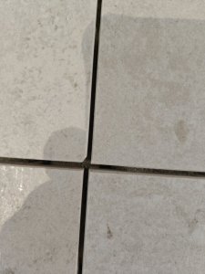 1000032889.jpg