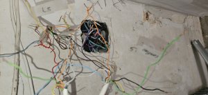 20240719_161251[1].jpg