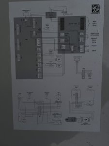 IMG_5556.jpeg