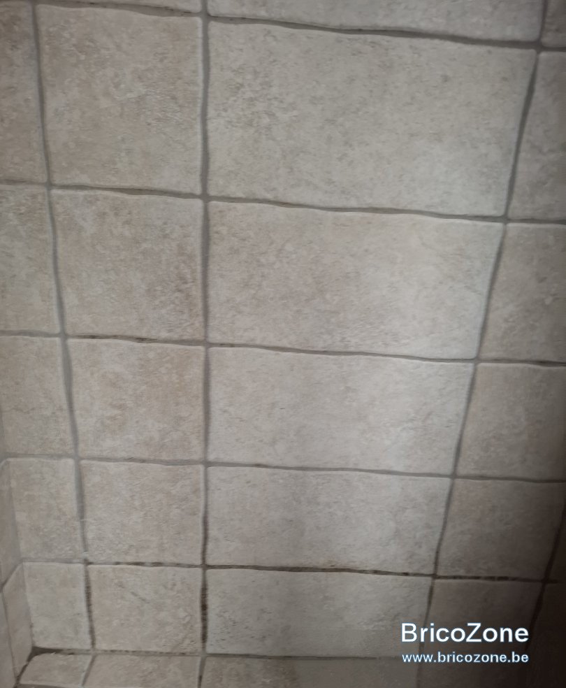 1000016966.jpg