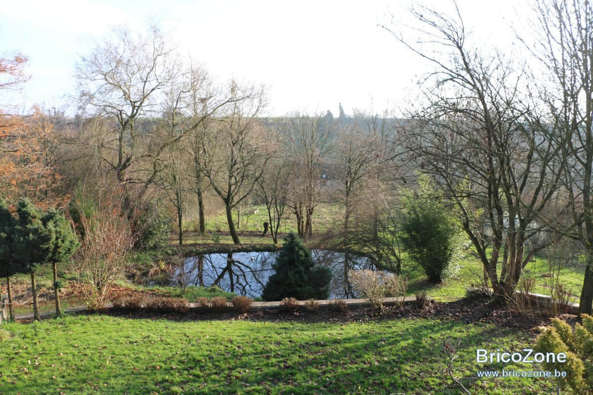 241215 Jardin 01.JPG