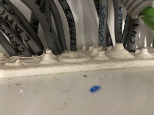 IMG_2879.jpeg