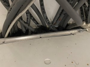 IMG_2880.jpeg