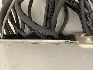 IMG_2878.jpeg