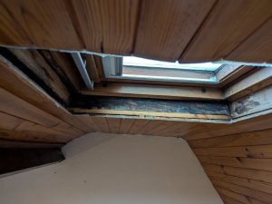 PXL_20241230_144009969.jpg_compressed.JPEG