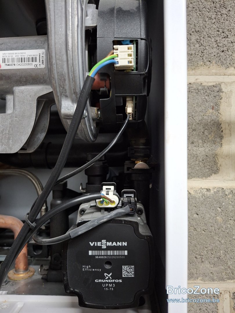 Chaudière Viessmann Vitodens 100 ne semble plus savoir comment elle s — free download