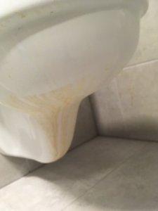 thumbnail_IMG_4663.jpg