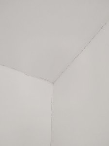 1000017288.jpg