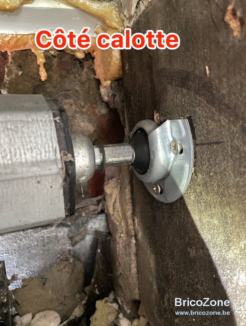 CAlotte.jpg