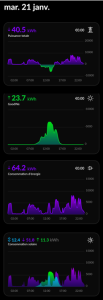 elec HomeWizard 21 janvier 2025.jpg.png