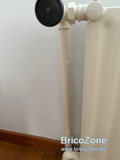 IMG_9536.jpeg