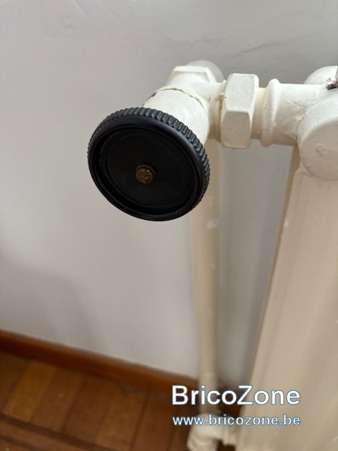 IMG_9535.jpeg