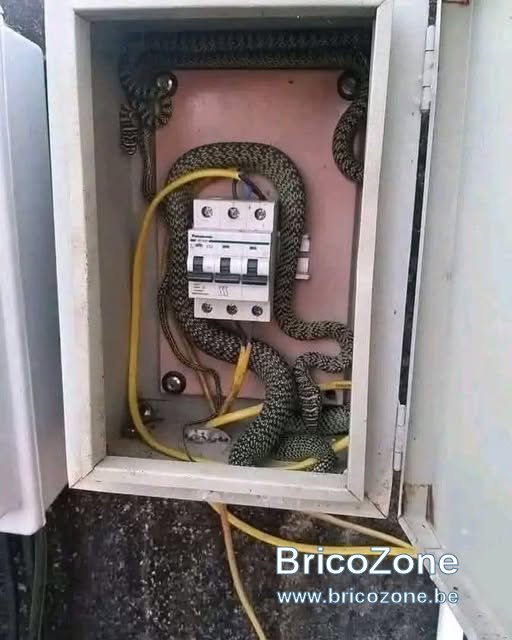 475031170_10236489599565694_6327311635866971070_n.jpg