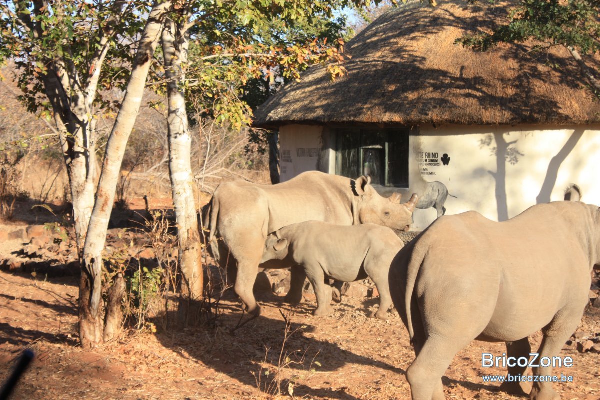 Zimbabwe201307-01 1290.jpg
