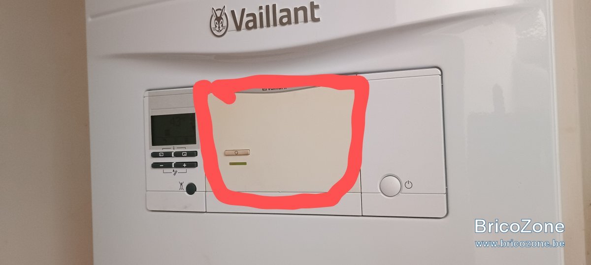 1000031495.jpg