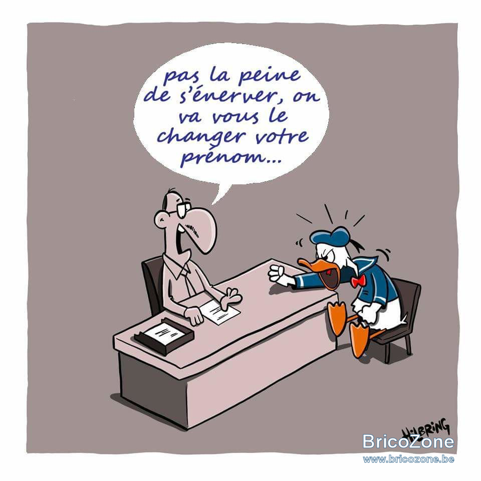 upload_2025-2-6_9-43-53.png