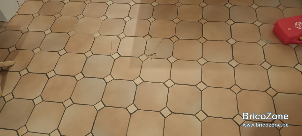 20250212_202905.jpg