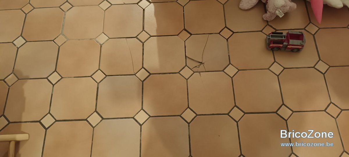 20250212_073516.jpg