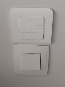 1000054029.jpg