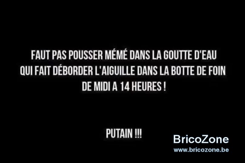 upload_2025-3-5_3-22-48.jpeg