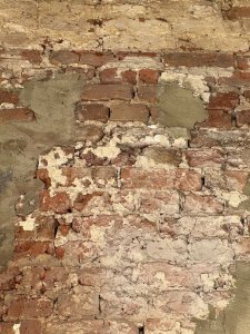 IMG_2217.jpeg