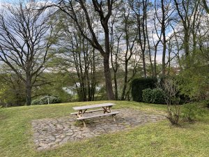 IMG_2175.jpeg