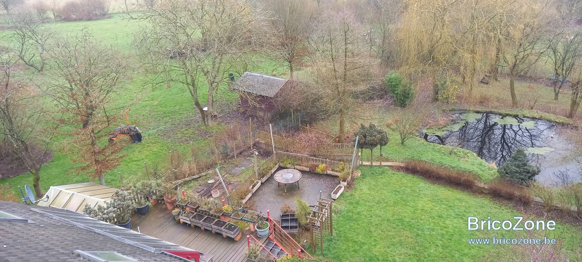 Jardin20230223_120704.jpg