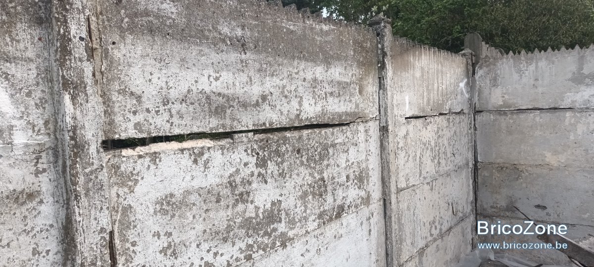 20250419_074910.jpg