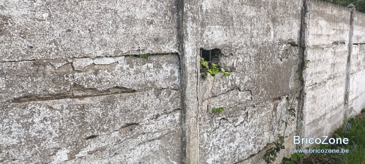 20250419_074845.jpg