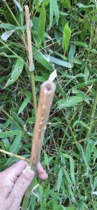20250429_170048.jpg