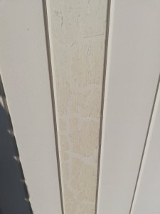 1000025524.jpg