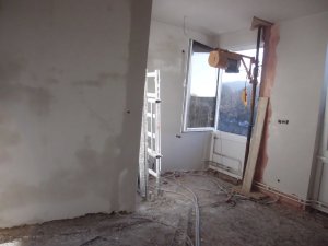 DSCI8105 [1600x1200(2)].jpg
