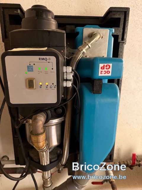 IMG_2960.jpeg