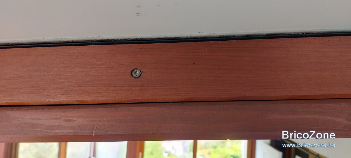 20250526_170352.jpg
