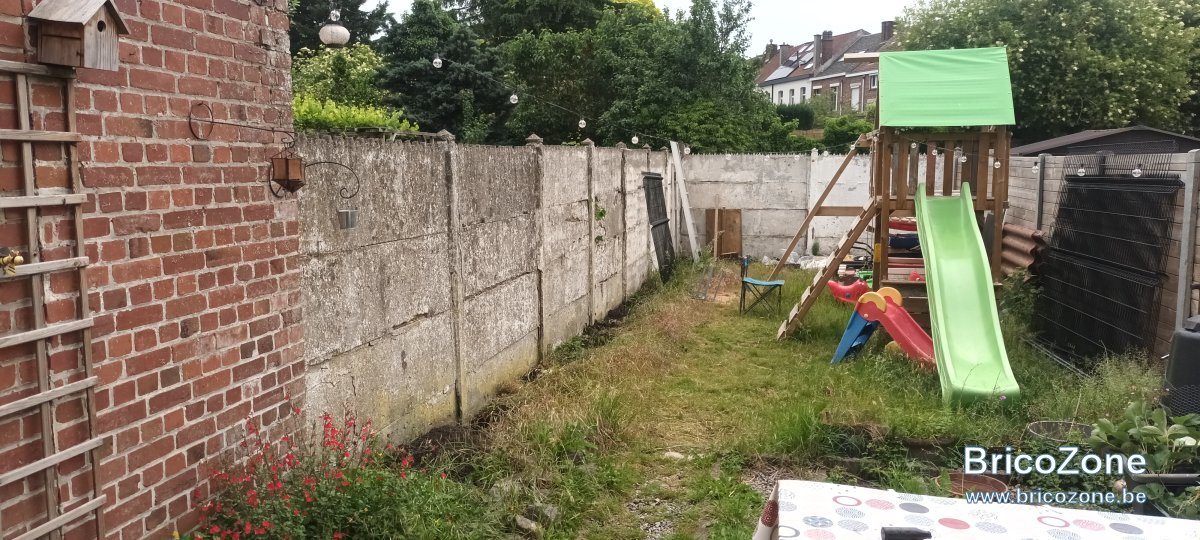 20250529_081254.jpg