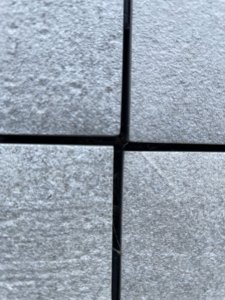 IMG_3748.jpeg IMG_3748.jpeg