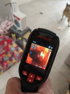 1000039128.jpg