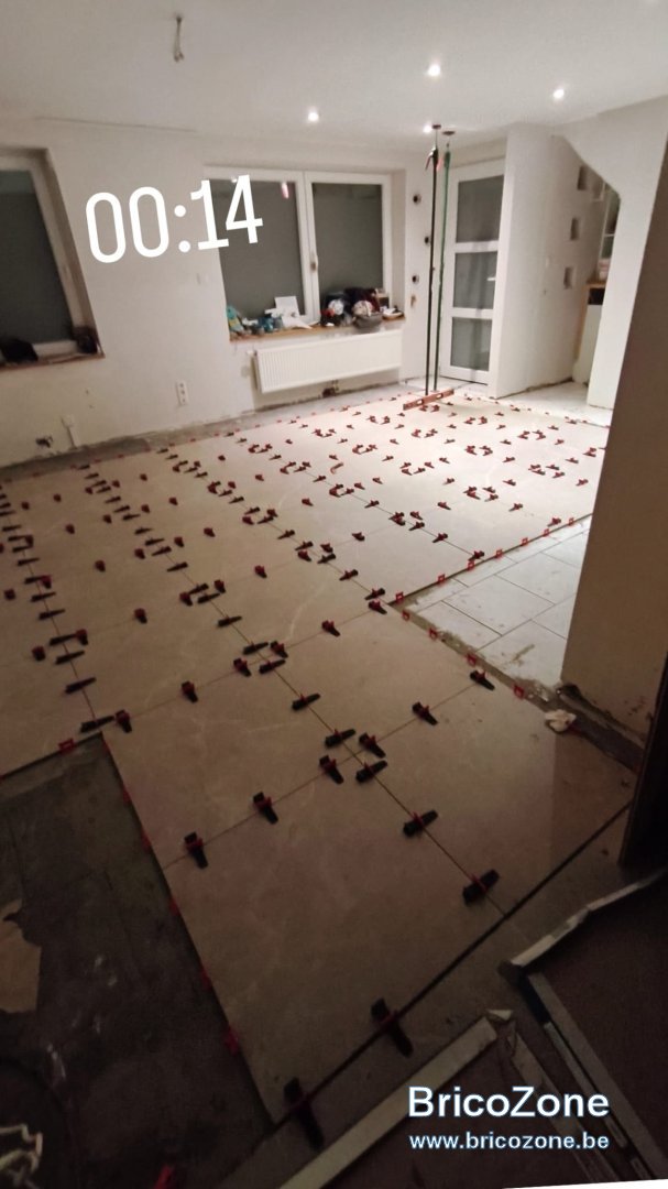 1000025081.jpg