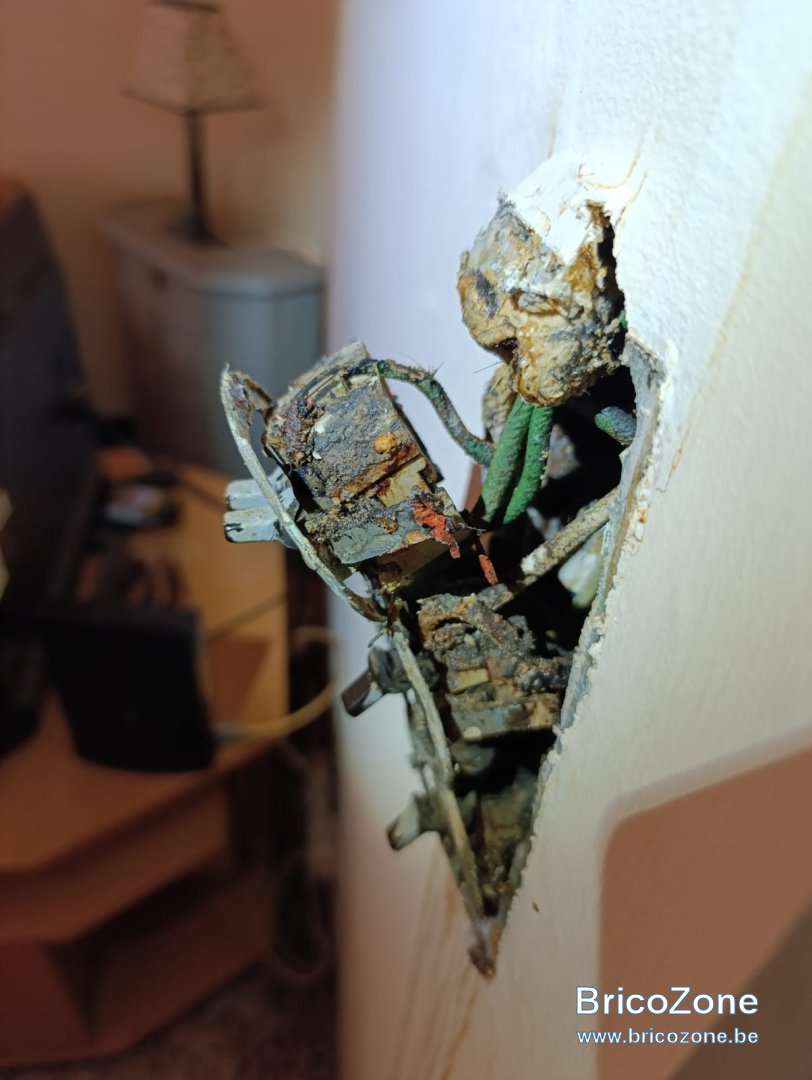 WhatsApp Image 2024-08-28 à 09.02.01_71c52c62.jpg
