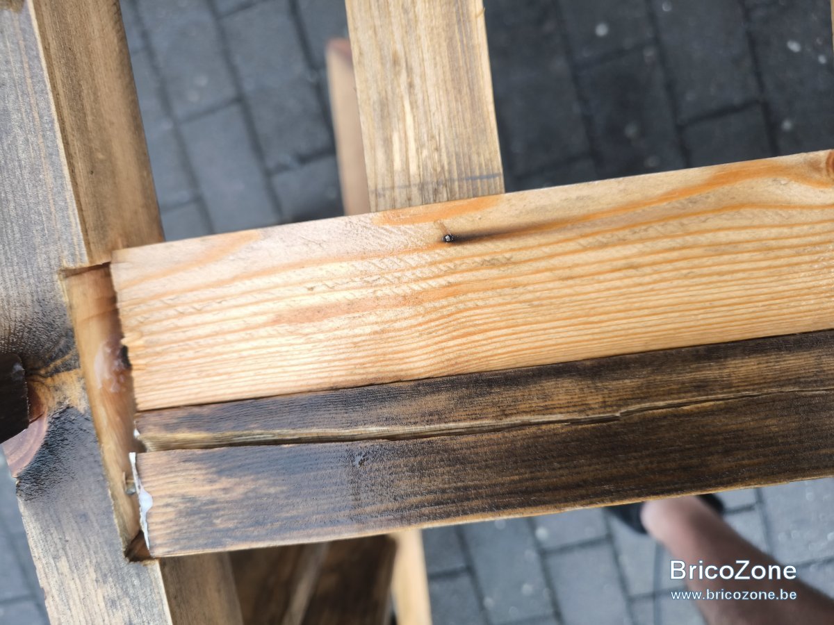 1000049690.jpg
