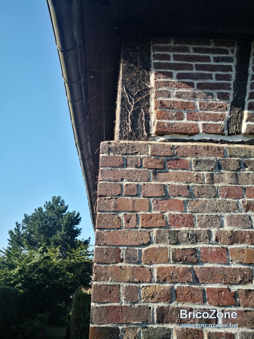 a0418824-e5d7-480f-9a75-f536188755ee.jpeg