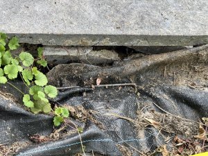 IMG_4102.jpeg