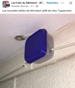 IMG_9666.jpeg
