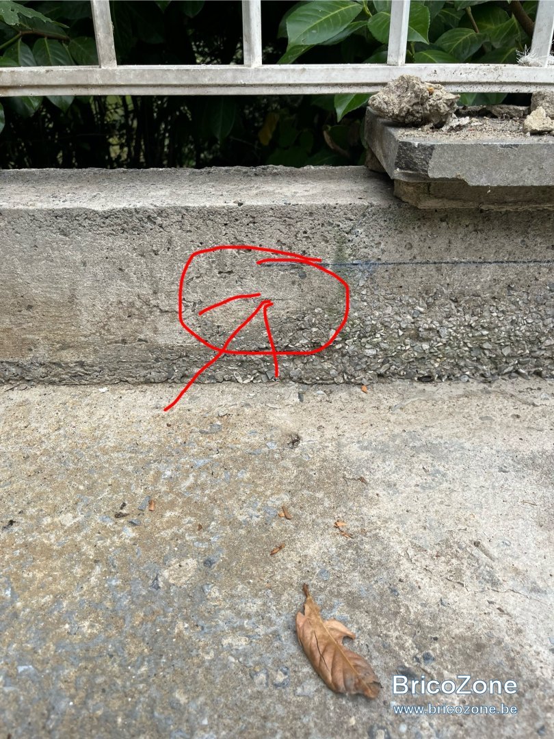 IMG_6658.jpeg