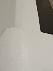 1000027211.jpg