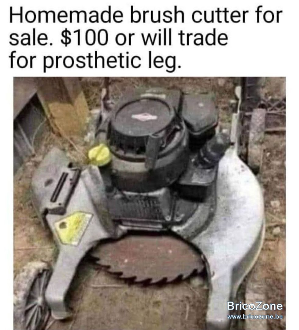 1000015939.jpg